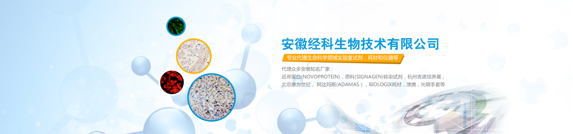 安徽经科生物技术有限公司